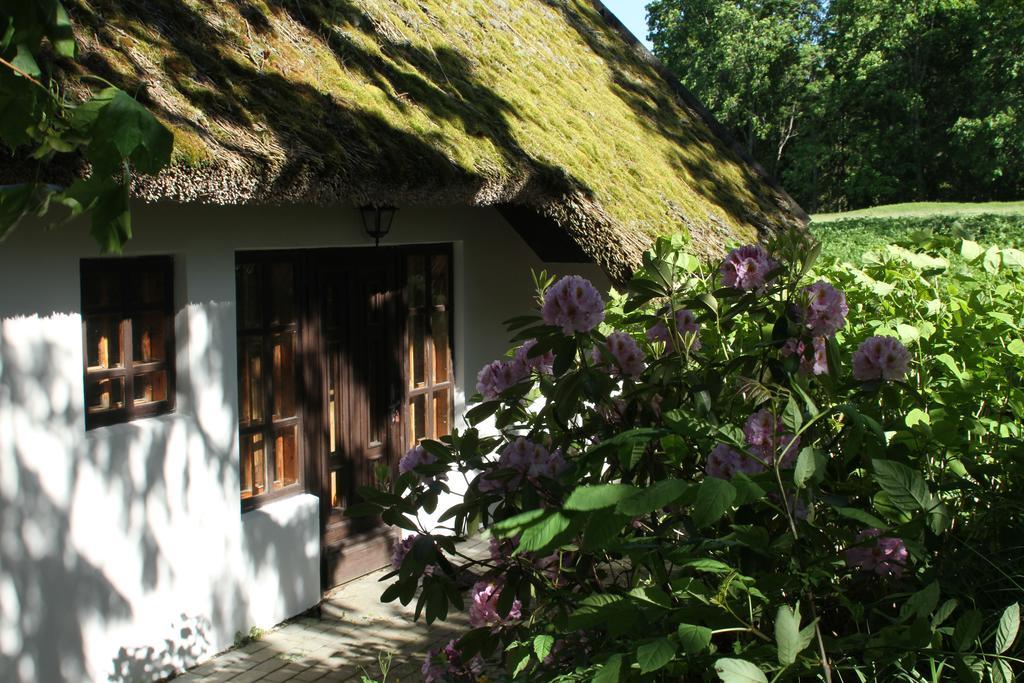 Denderi Villa Rubene Bilik gambar