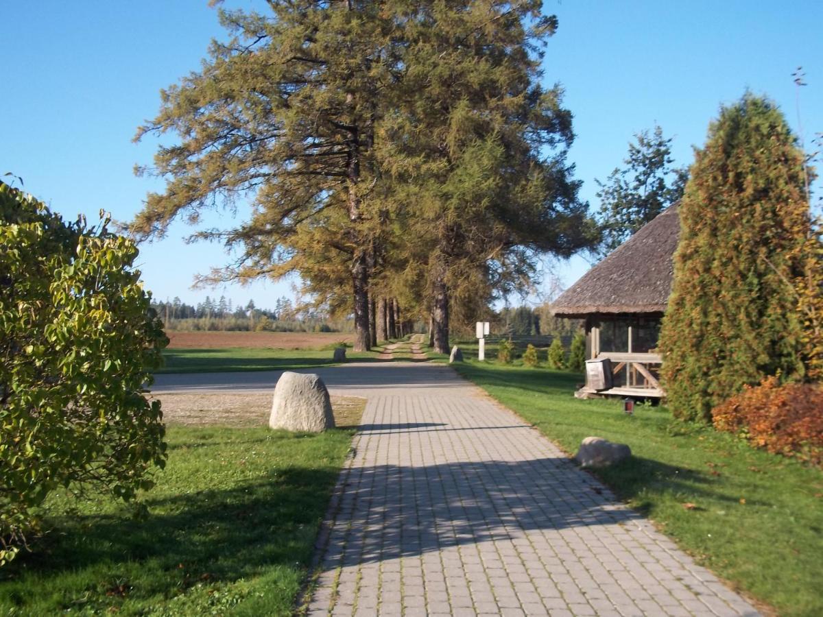 Denderi Villa Rubene Bilik gambar